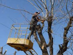 Ավտոբուսի բախումից տղամարդն ավտոաշտարակից վայր է ընկել